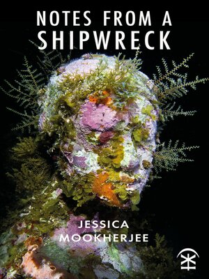 cover image of Notes from a Shipwreck